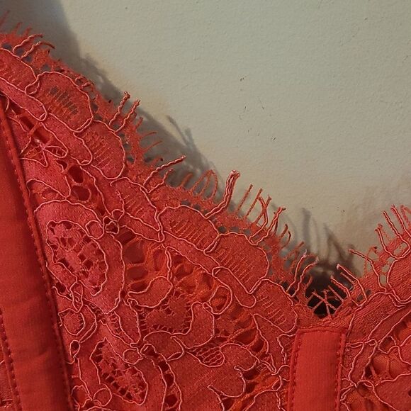 Georgeous Express lace dress Size 2 NWT - Picture 10 of 10